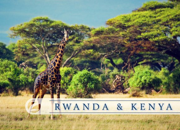 Rwanda & Kenya